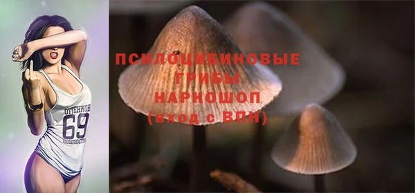 apvp Баксан