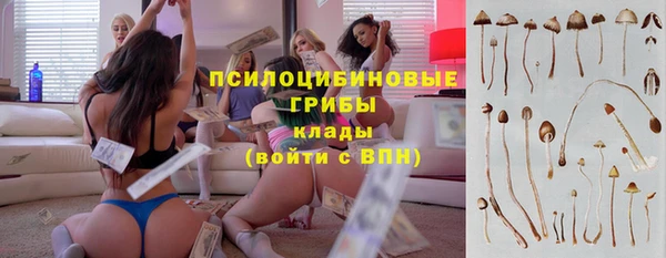 apvp Баксан