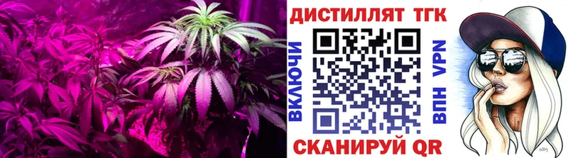 продажа наркотиков Коряжма kraken рабочий сайт Дистиллят ТГК вейп с тгк