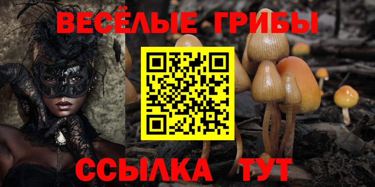 Галлюциногенные грибы мухоморы  Вход с VPN  Коряжма  Галлюциногенные грибы мицелий 